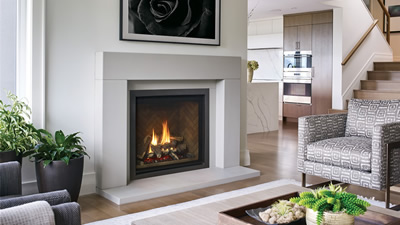 Regency Traditional Gas Fireplace Regency Traditional Gas Fireplace