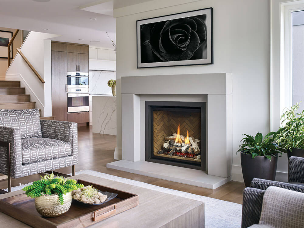 Regency-Gas-Fireplace-G800-Birch-Logs Regency Gas Fireplace G800